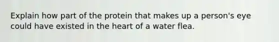 Explain how part of the protein that makes up a person's eye could have existed in the heart of a water flea.