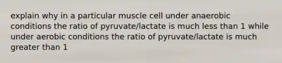 explain why in a particular muscle cell under anaerobic conditions the ratio of pyruvate/lactate is much less than 1 while under aerobic conditions the ratio of pyruvate/lactate is much greater than 1