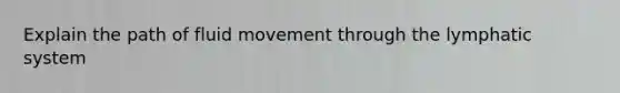 Explain the path of fluid movement through the lymphatic system