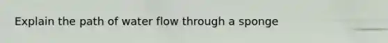 Explain the path of water flow through a sponge