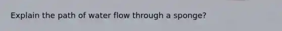 Explain the path of water flow through a sponge?