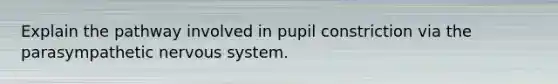 Explain the pathway involved in pupil constriction via the parasympathetic <a href='https://www.questionai.com/knowledge/kThdVqrsqy-nervous-system' class='anchor-knowledge'>nervous system</a>.