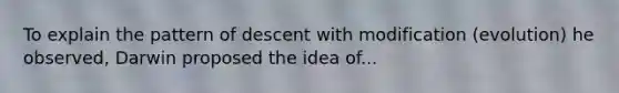 To explain the pattern of descent with modification (evolution) he observed, Darwin proposed the idea of...