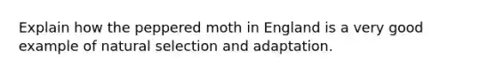 Explain how the peppered moth in England is a very good example of natural selection and adaptation.