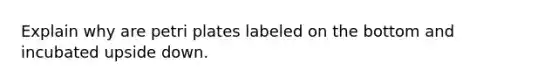 Explain why are petri plates labeled on the bottom and incubated upside down.