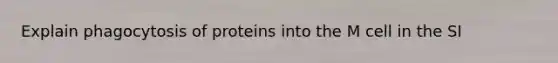 Explain phagocytosis of proteins into the M cell in the SI