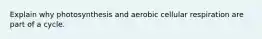 Explain why photosynthesis and aerobic cellular respiration are part of a cycle.