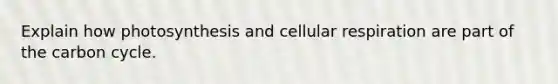 Explain how photosynthesis and cellular respiration are part of the carbon cycle.