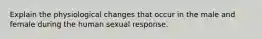 Explain the physiological changes that occur in the male and female during the human sexual response.