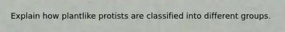 Explain how plantlike protists are classified into different groups.