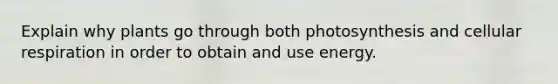 Explain why plants go through both photosynthesis and cellular respiration in order to obtain and use energy.