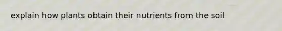 explain how plants obtain their nutrients from the soil