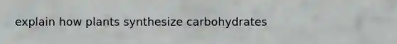 explain how plants synthesize carbohydrates