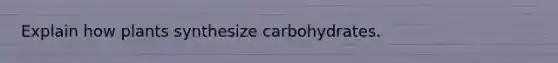 Explain how plants synthesize carbohydrates.