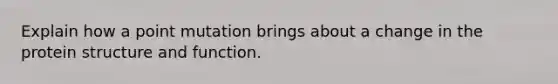 Explain how a point mutation brings about a change in the protein structure and function.