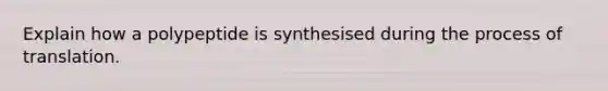 Explain how a polypeptide is synthesised during the process of translation.