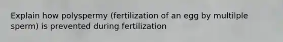 Explain how polyspermy (fertilization of an egg by multilple sperm) is prevented during fertilization