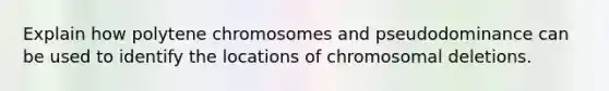 Explain how polytene chromosomes and pseudodominance can be used to identify the locations of chromosomal deletions.