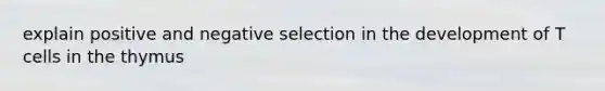 explain positive and negative selection in the development of T cells in the thymus