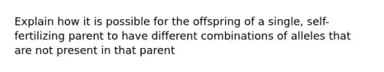 Explain how it is possible for the offspring of a single, self-fertilizing parent to have different combinations of alleles that are not present in that parent