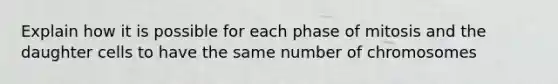 Explain how it is possible for each phase of mitosis and the daughter cells to have the same number of chromosomes