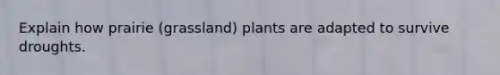 Explain how prairie (grassland) plants are adapted to survive droughts.