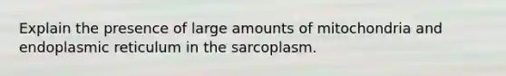 Explain the presence of large amounts of mitochondria and endoplasmic reticulum in the sarcoplasm.