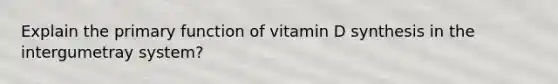 Explain the primary function of vitamin D synthesis in the intergumetray system?