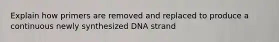 Explain how primers are removed and replaced to produce a continuous newly synthesized DNA strand