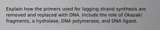 Explain how the primers used for lagging strand synthesis are removed and replaced with DNA. Include the role of Okazaki fragments, a hydrolase, DNA polymerase, and DNA ligase.