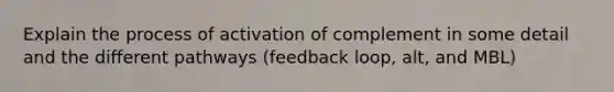 Explain the process of activation of complement in some detail and the different pathways (feedback loop, alt, and MBL)