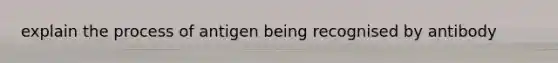 explain the process of antigen being recognised by antibody