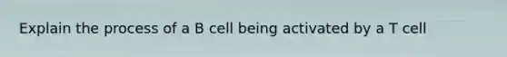 Explain the process of a B cell being activated by a T cell