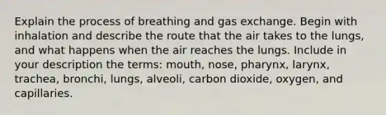 Explain the process of breathing and <a href='https://www.questionai.com/knowledge/kU8LNOksTA-gas-exchange' class='anchor-knowledge'>gas exchange</a>. Begin with inhalation and describe the route that the air takes to the lungs, and what happens when the air reaches the lungs. Include in your description the terms: mouth, nose, pharynx, larynx, trachea, bronchi, lungs, alveoli, carbon dioxide, oxygen, and capillaries.