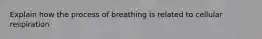 Explain how the process of breathing is related to cellular respiration