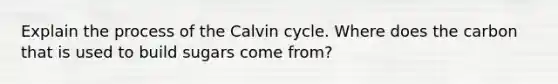 Explain the process of the Calvin cycle. Where does the carbon that is used to build sugars come from?