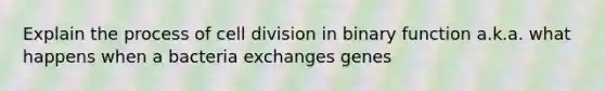 Explain the process of cell division in binary function a.k.a. what happens when a bacteria exchanges genes