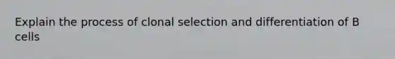 Explain the process of clonal selection and differentiation of B cells