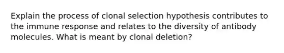 Explain the process of clonal selection hypothesis contributes to the immune response and relates to the diversity of antibody molecules. What is meant by clonal deletion?