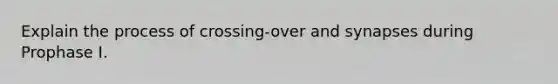 Explain the process of crossing-over and synapses during Prophase I.