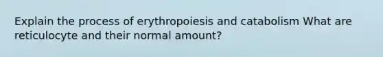 Explain the process of erythropoiesis and catabolism What are reticulocyte and their normal amount?