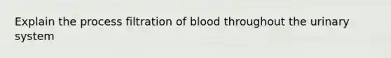 Explain the process filtration of blood throughout the urinary system