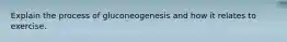 Explain the process of gluconeogenesis and how it relates to exercise.