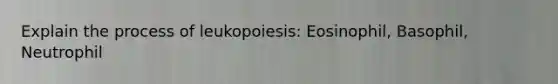 Explain the process of leukopoiesis: Eosinophil, Basophil, Neutrophil