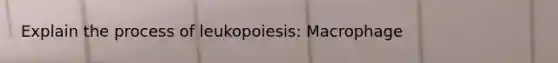 Explain the process of leukopoiesis: Macrophage