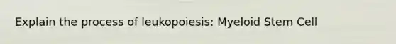 Explain the process of leukopoiesis: Myeloid Stem Cell