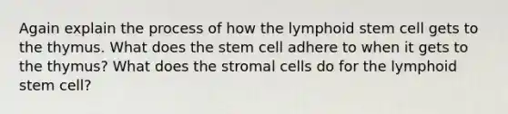 Again explain the process of how the lymphoid stem cell gets to the thymus. What does the stem cell adhere to when it gets to the thymus? What does the stromal cells do for the lymphoid stem cell?