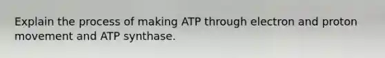 Explain the process of making ATP through electron and proton movement and ATP synthase.