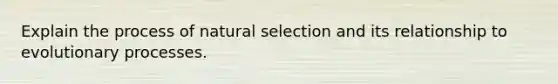 Explain the process of natural selection and its relationship to evolutionary processes.