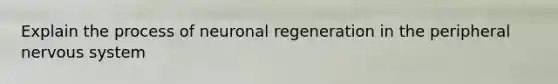 Explain the process of neuronal regeneration in the peripheral nervous system